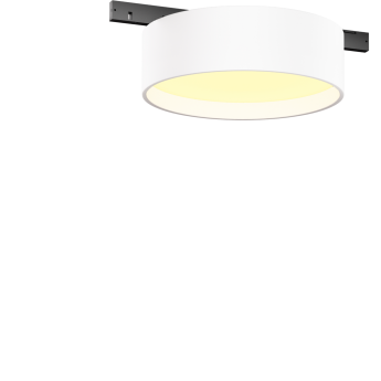 Трековый светильник MAYTONI ZON LEVITY TR189-1-12W2.7K-BW
